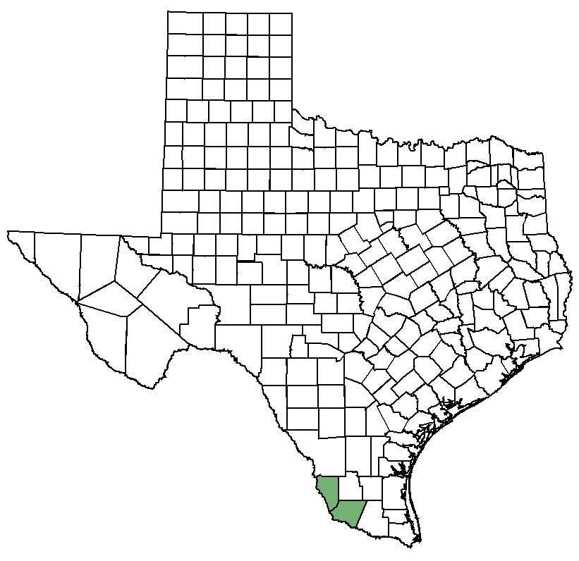 Distribution map of Zapata bladderpod